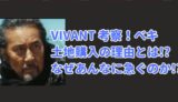 ノゴーンベキ　土地購入　目的　理由　VIVANT　ビバン