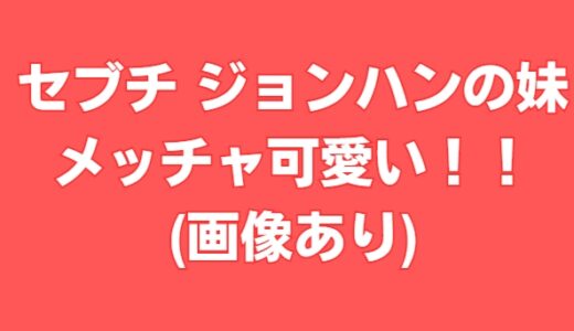 セブチ ジョンハン 妹のインスタ発見！可愛すぎる！