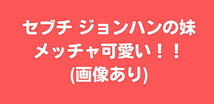 セブチ ジョンハン 妹が可愛い(画像あり)